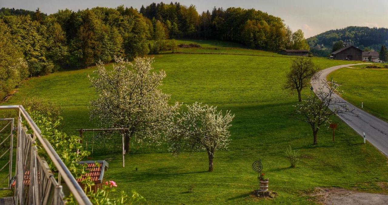 Ferienwohnung Mirtei Hohenau Exterior foto